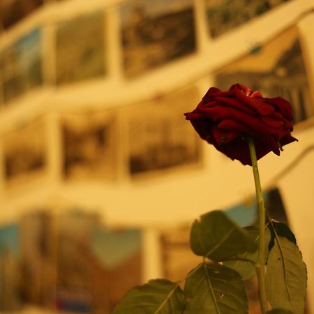 Moosica Hostel Tbilisi Eksteriør billede